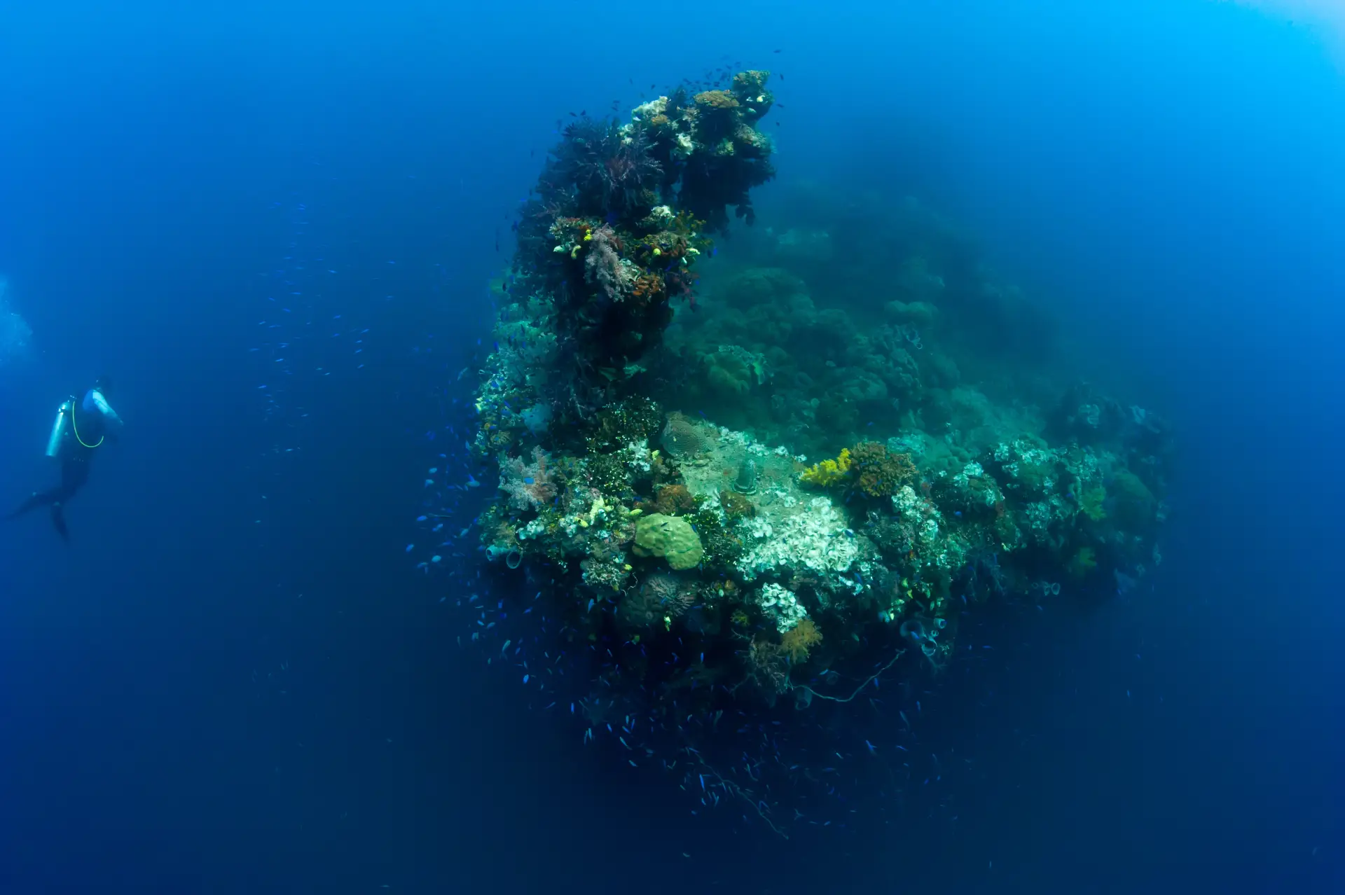 Exploring the Depths of History Scuba Diving in Truk Lagoon Scuba